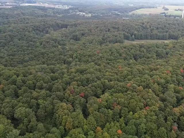 Land for sale in Empire, Michigan