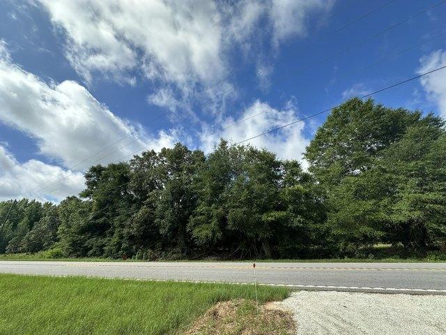 Land for sale in Waynesboro, Georgia