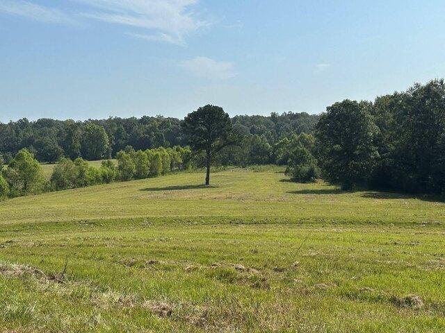 Land for sale in Brantley