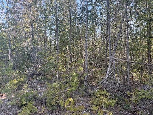 Land for sale in Michigan