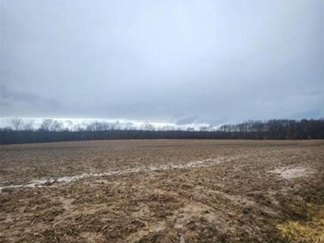Land for sale in West Suffield, Suffield
