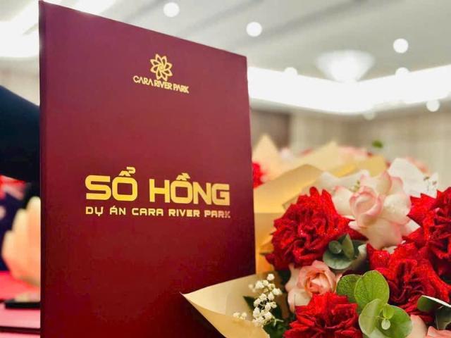 Căn hộ bán