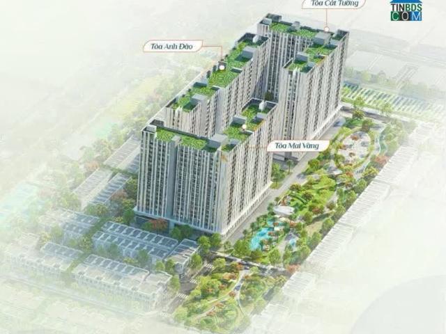 Căn hộ bán tại Gia Lai