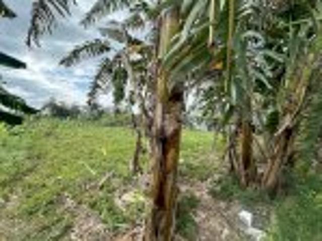 Bất động sản bán