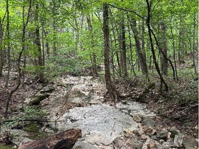 Land for sale in Ashland, Missouri