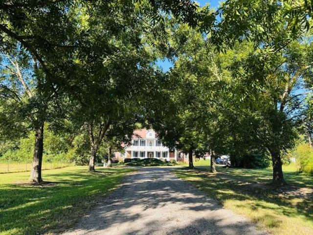 Land for sale in Pinewood, Sumter County