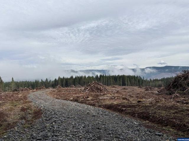 Land for sale in Molalla, Clackamas County