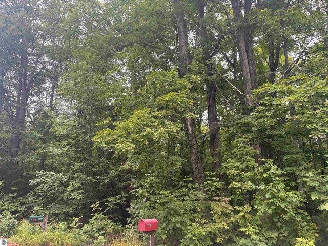 Land for sale in Cedar, Michigan
