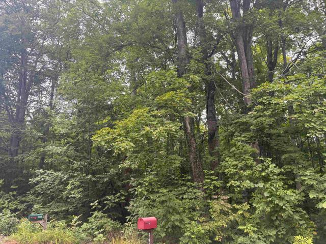Land for sale in Cedar, Michigan