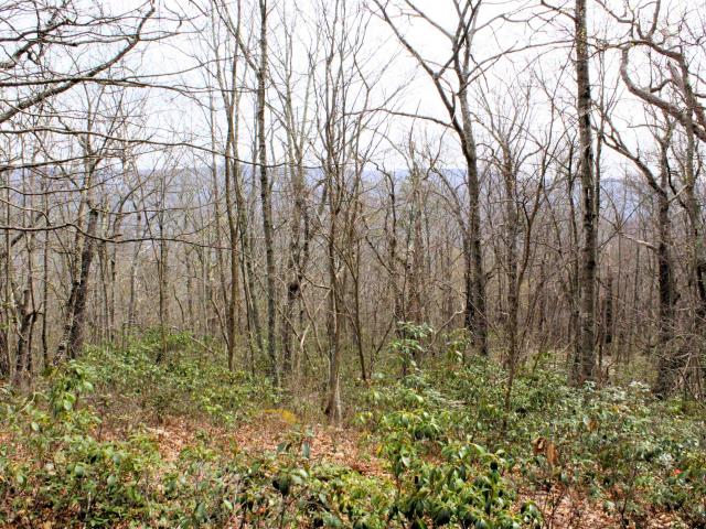 Land for sale in Virginia