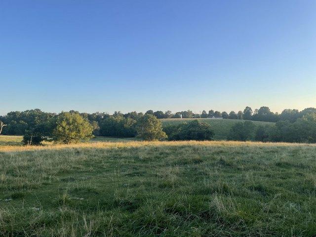 Land for sale in Highlandville, Missouri