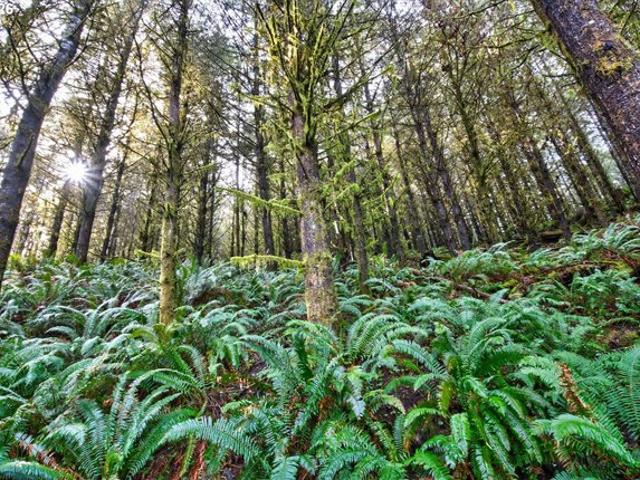 Land for sale in Oregonia