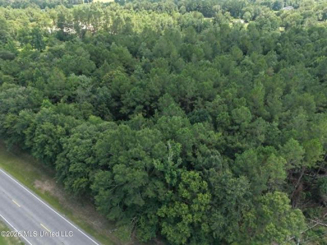 Land for sale in Picayune, Mississippi