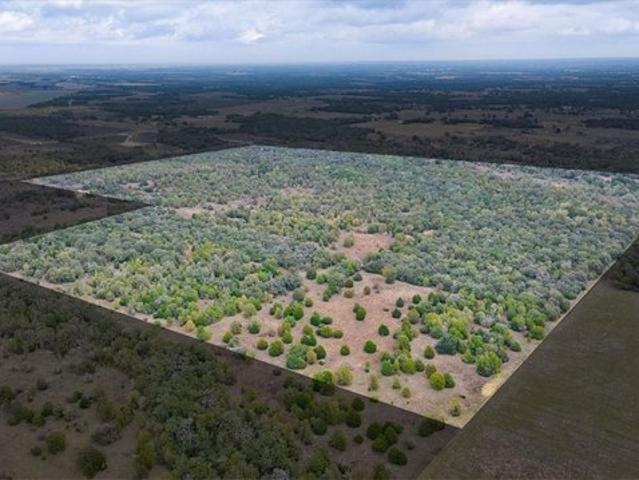 Farm for sale in Milam, Texas