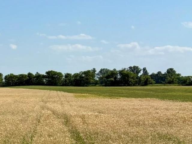 Farm for sale in East Prairie, Missouri