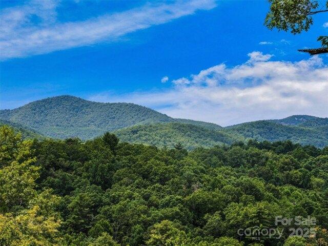 Land for sale in Brevard