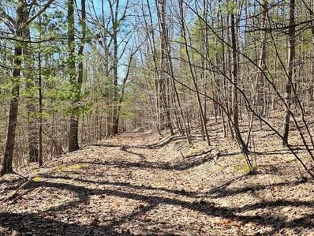 Land for sale in Van Etten, New York