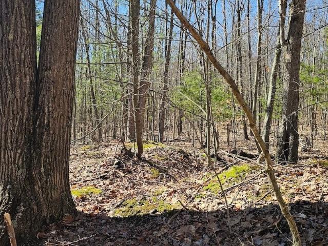 Land for sale in Van Etten, New York