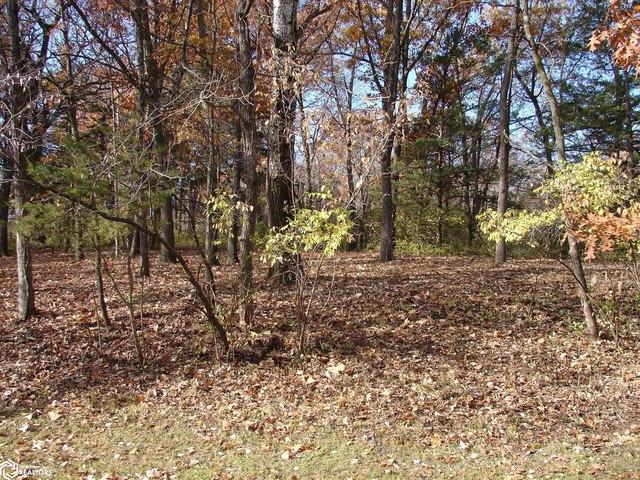 Land for sale in Mount Pleasant, Iowa