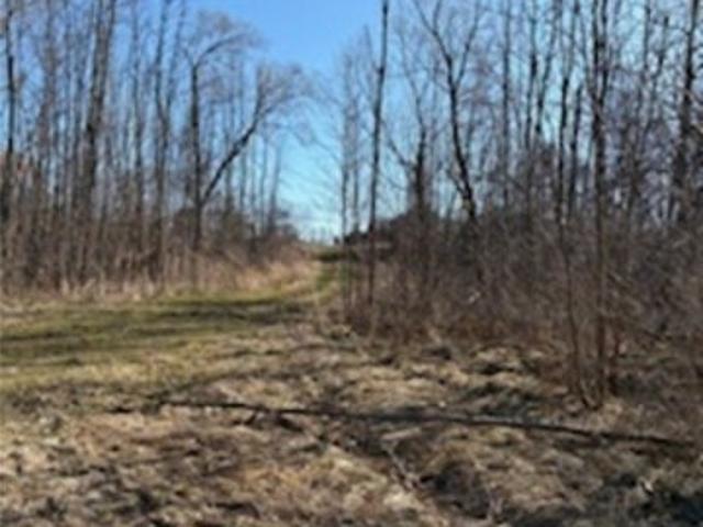 Land for sale in Clarendon Land for sale in Clarendon