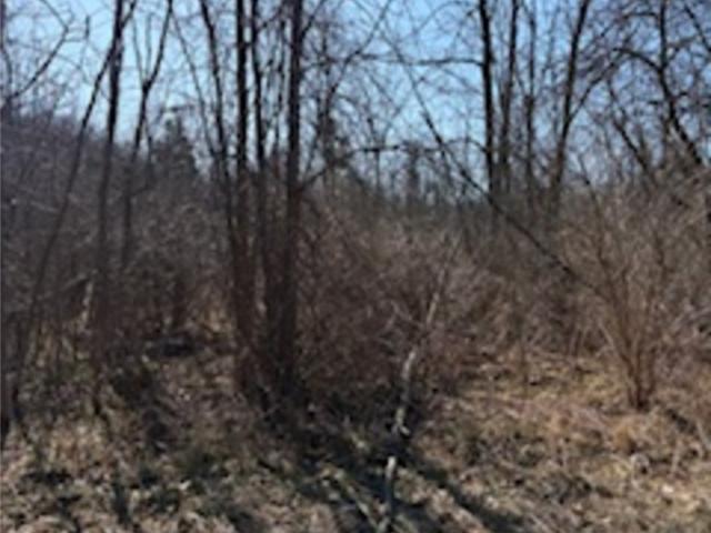Land for sale in Orleans, New York