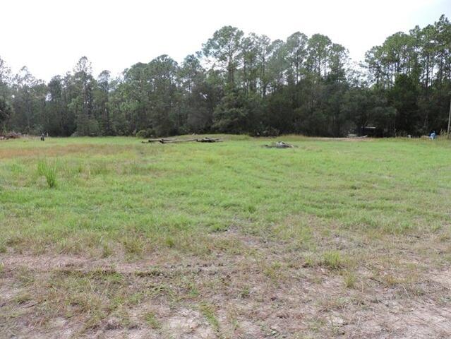 Land for sale in Bunnell, Florida