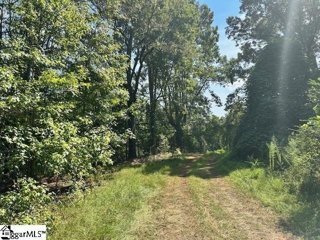 Land for sale in Woodruff, South Carolina