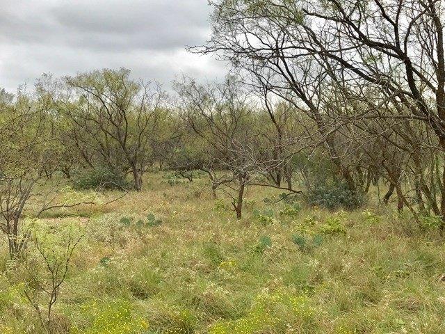 Land for sale in San Angelo, Texas
