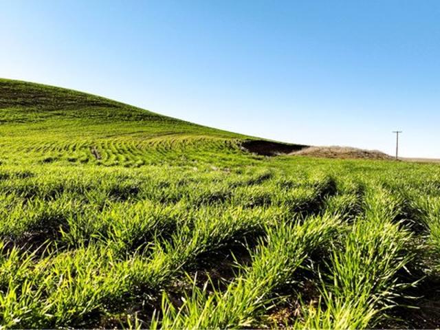 Farm for sale in Oregonia