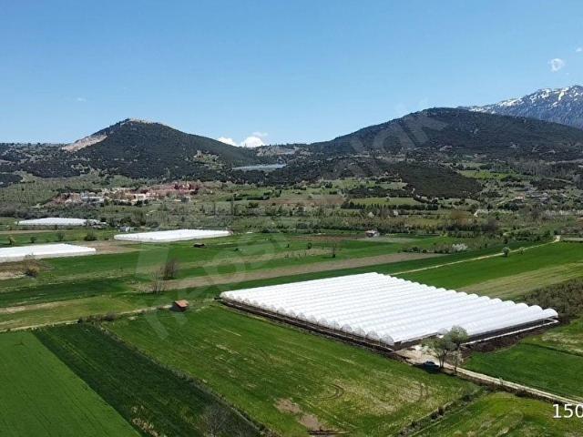 Muğla içerisinde satılık mülk