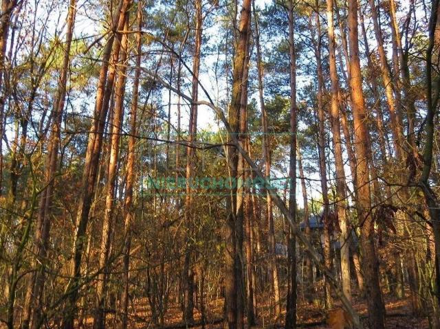 Grunt na sprzedaż w Raszyn, Mazowieckie