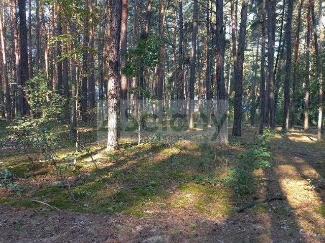 Grunt na sprzedaż w Sękocin-Las, Mazowieckie