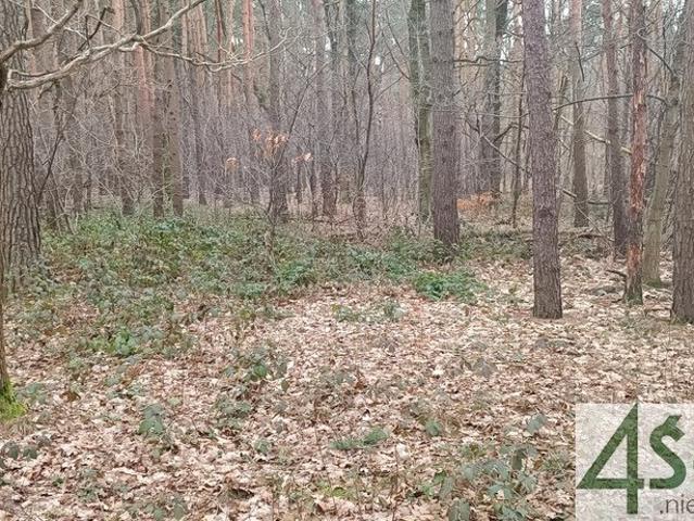 Grunt na sprzedaż w Sękocin-Las, Mazowieckie