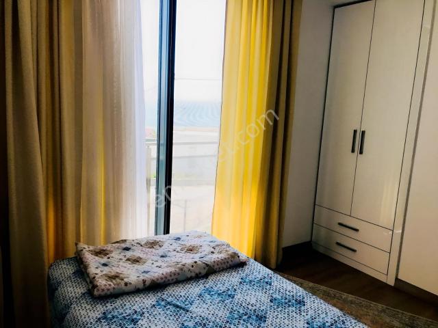 Milas, Muğla içerisinde kiralık Villa