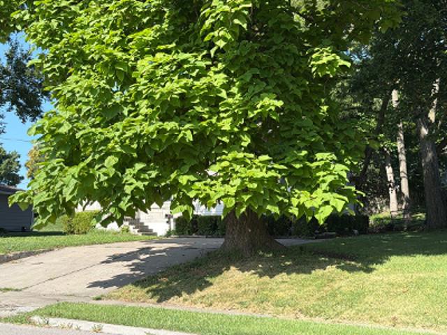 House for sale in Liberty, Missouri