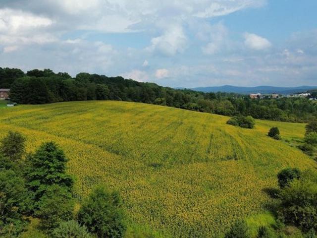Land for sale in Orwigsburg, Pennsylvania