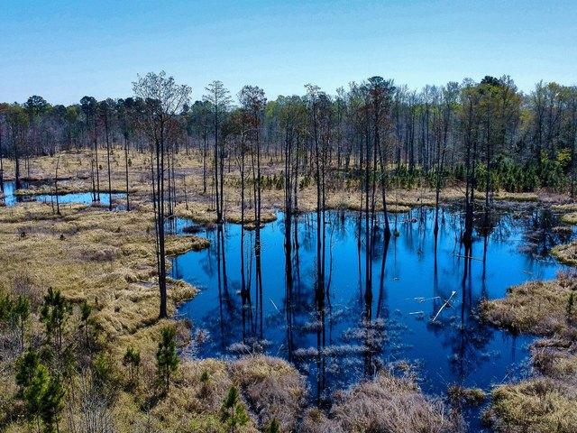 Land for sale in Denmark, South Carolina