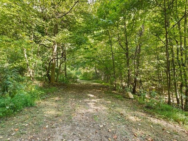 Land for sale in Virginia