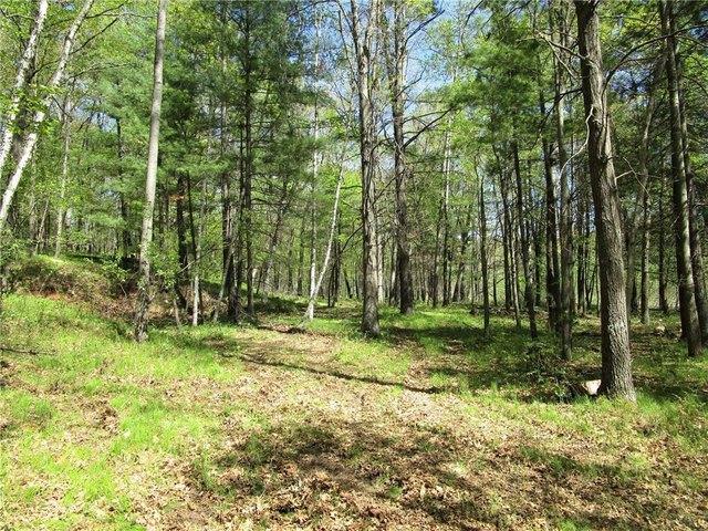 Land for sale in Siren, Wisconsin