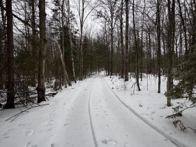 Land for sale in Houghton Lake, Michigan