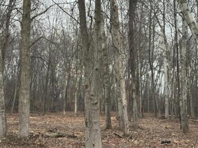 Land for sale in Au Gres, Michigan