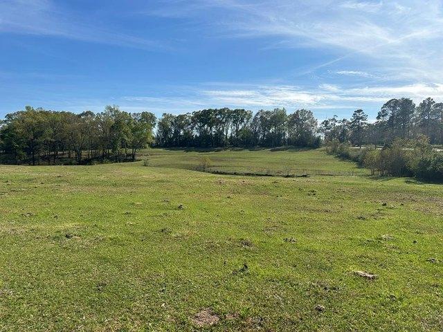 Farm for sale in Brundidge, Alabama
