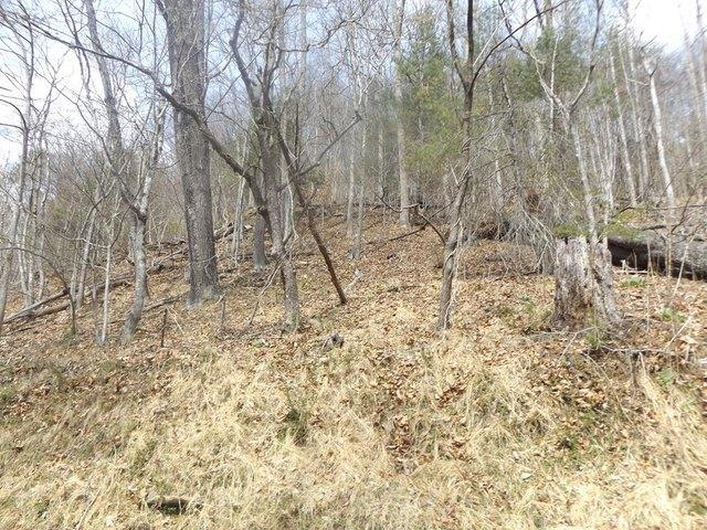 Land for sale in Virginia