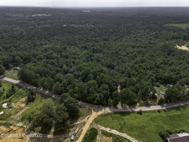 Land for sale in Mendenhall, Mississippi