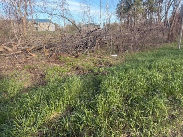 Land for sale in Grant, Michigan