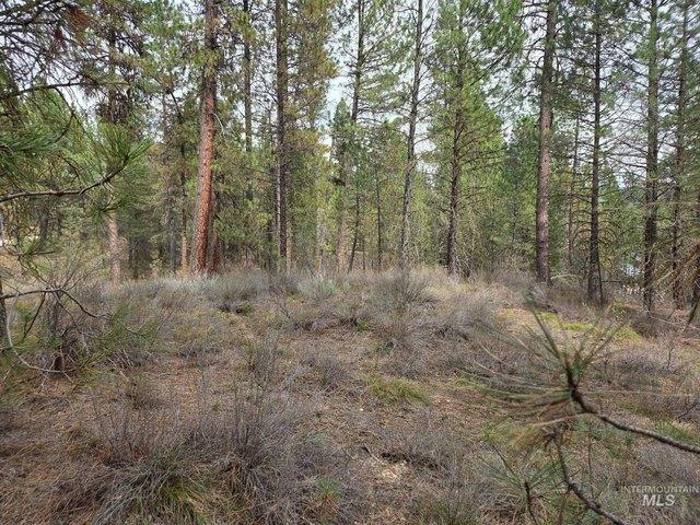 Land for sale in Idaho City, Idaho