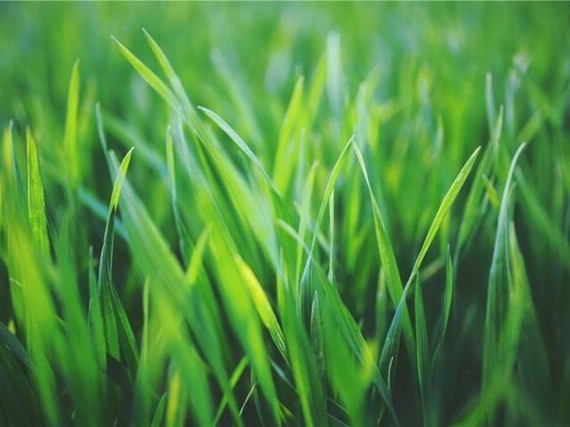 Land for sale in Allison Park