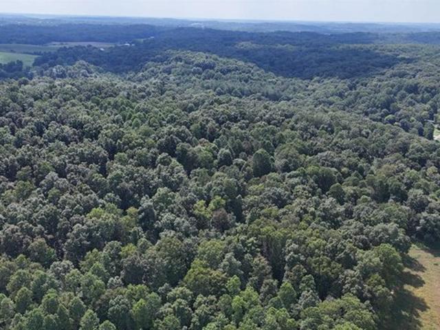 Land for sale in English, Indiana