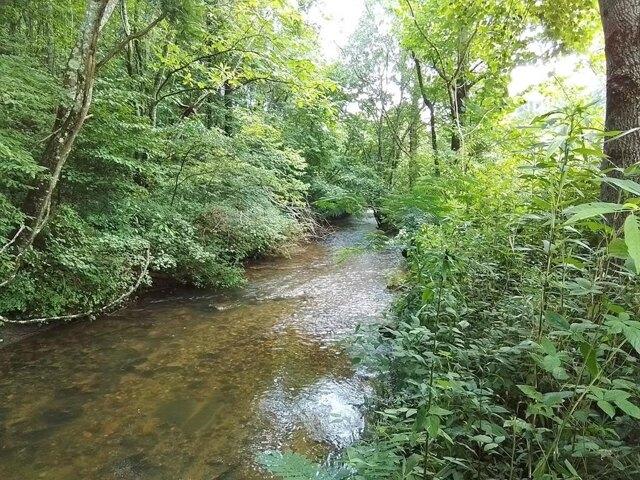 Land for sale in Murphy