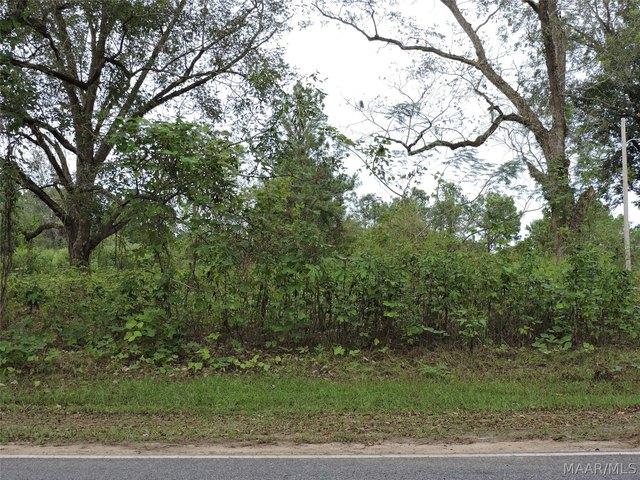 Land for sale in Greenville, Butler County